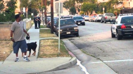 Petitions about the Hawthorne CA police shooting of Max the diog