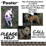 Pooter - lost then found :-)